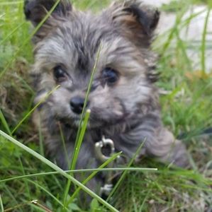 Meet your Posher, Kerry